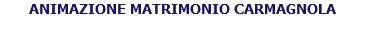ANIMAZIONE MATRIMONIO CARMAGNOLA