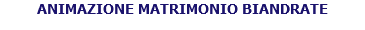 ANIMAZIONE MATRIMONIO BIANDRATE